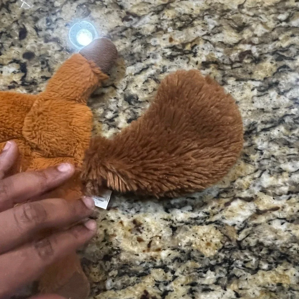 Fox Raccoon Squeaky Toy Flat Plush Woodland Animal No Stuffing